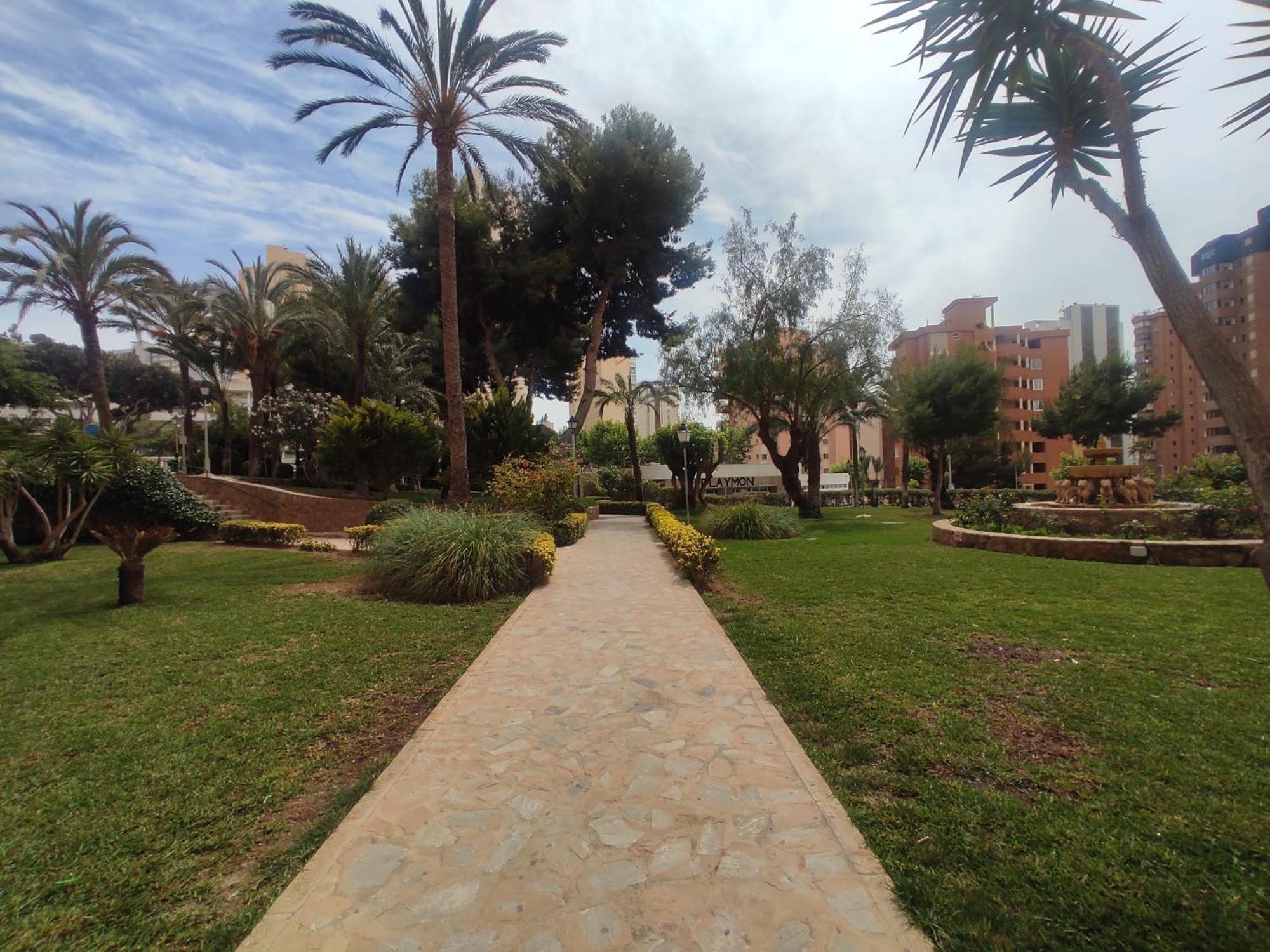 Playmon Park Torre A - Piso 16 Daire Benidorm Oda fotoğraf